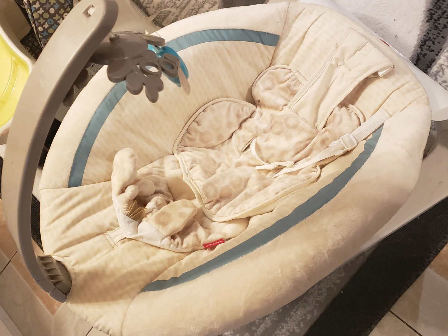 Fisher-Price Baby Bouncer