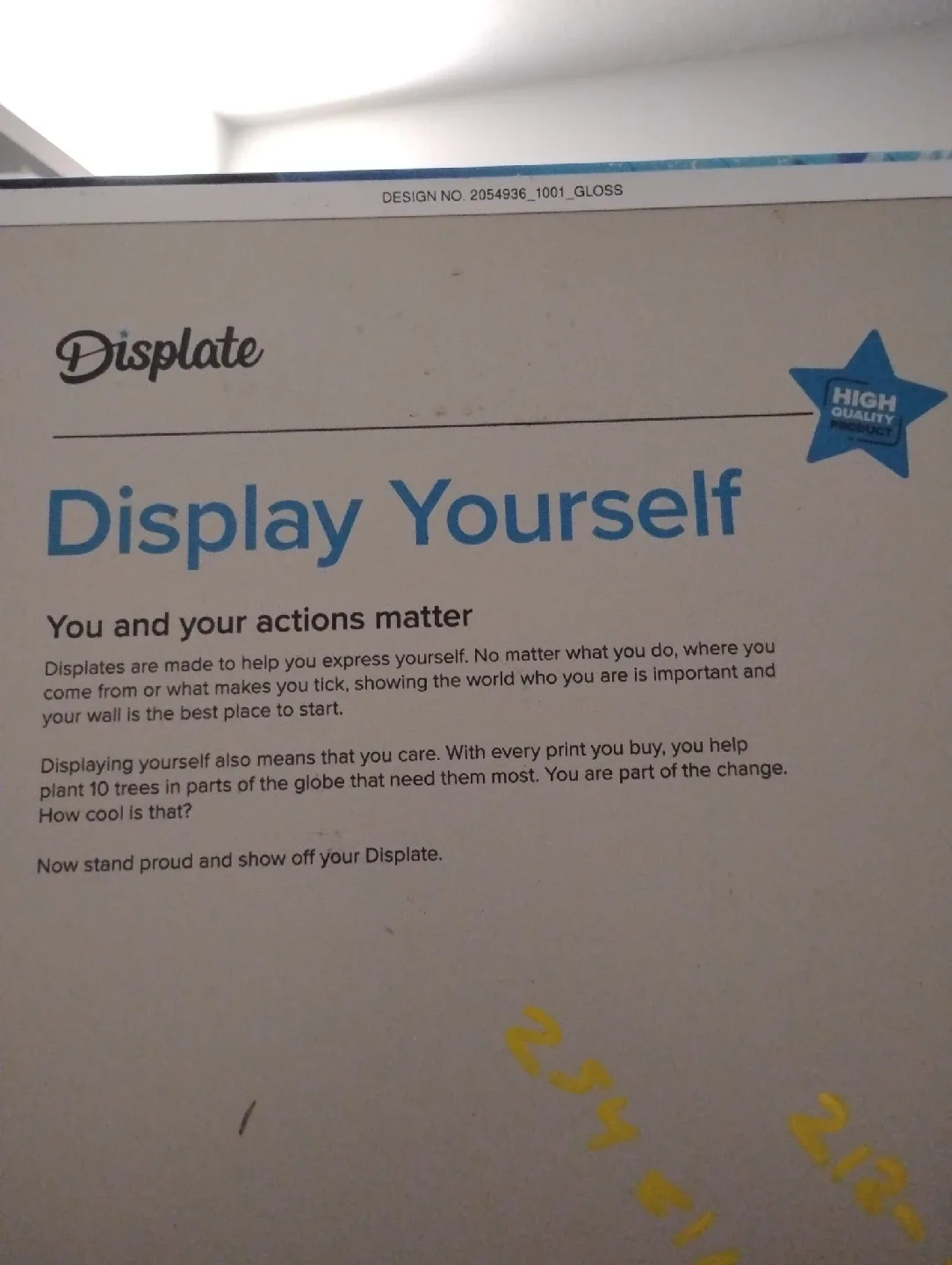 Displate Zoro One Piece Wall Art image indicator(2)