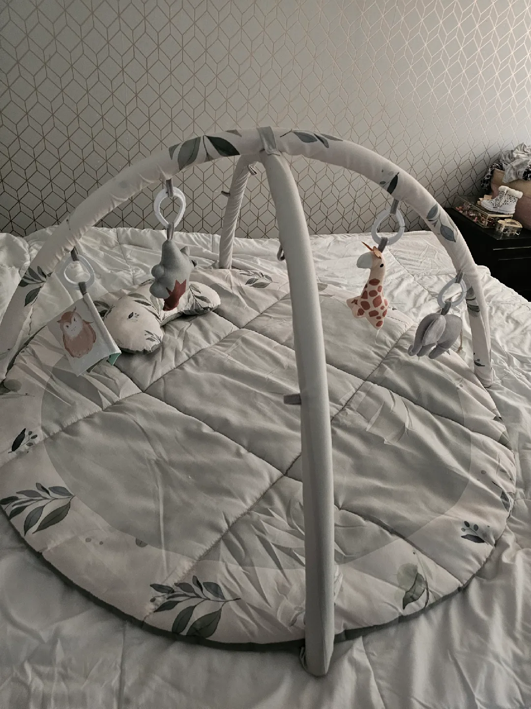 Baby Play Gym with Activity Mat image indicator(3)