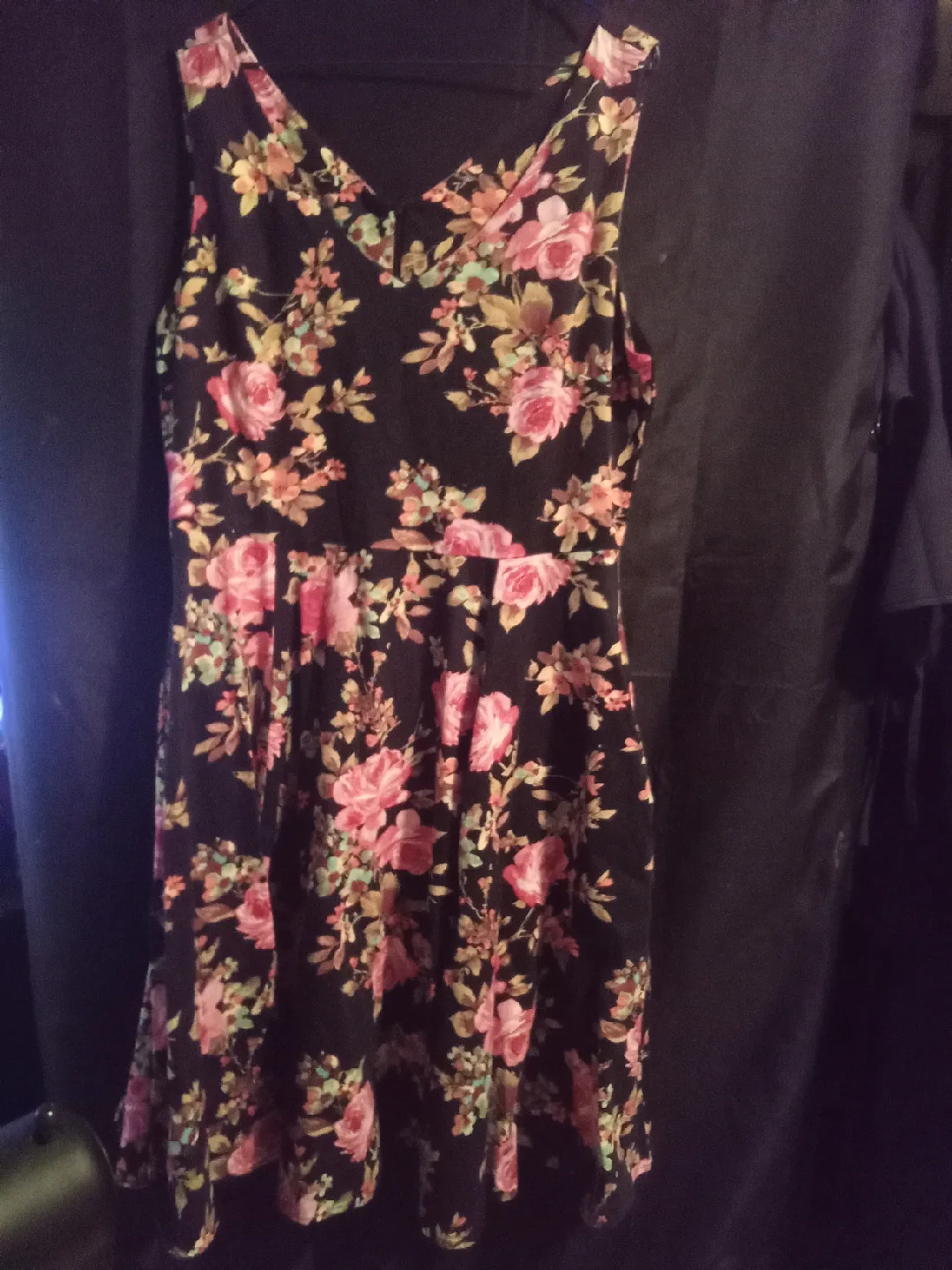 Eva Rose Floral Dress - Size 12 thumbnail