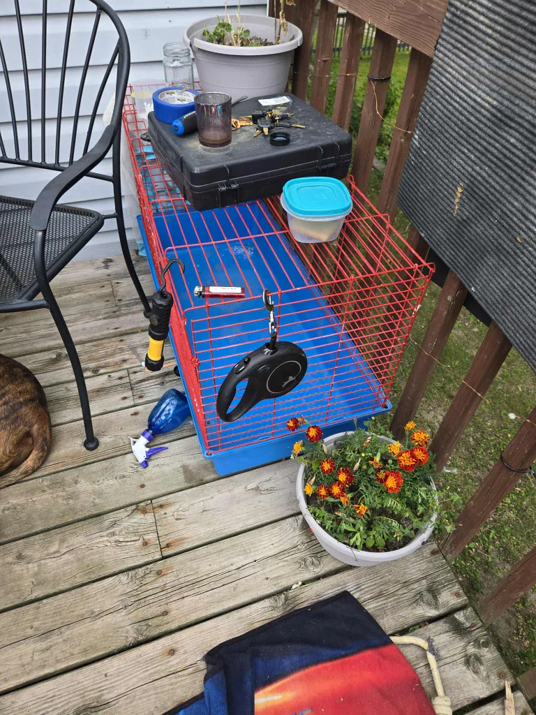 Red and Blue Pet Cage image indicator(2)