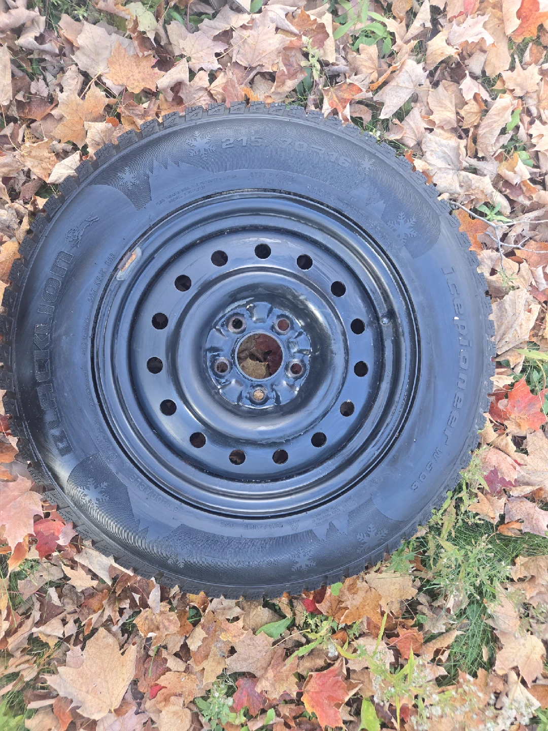 Blacklion Ice Pioneer W506 215/70R15 Tire
