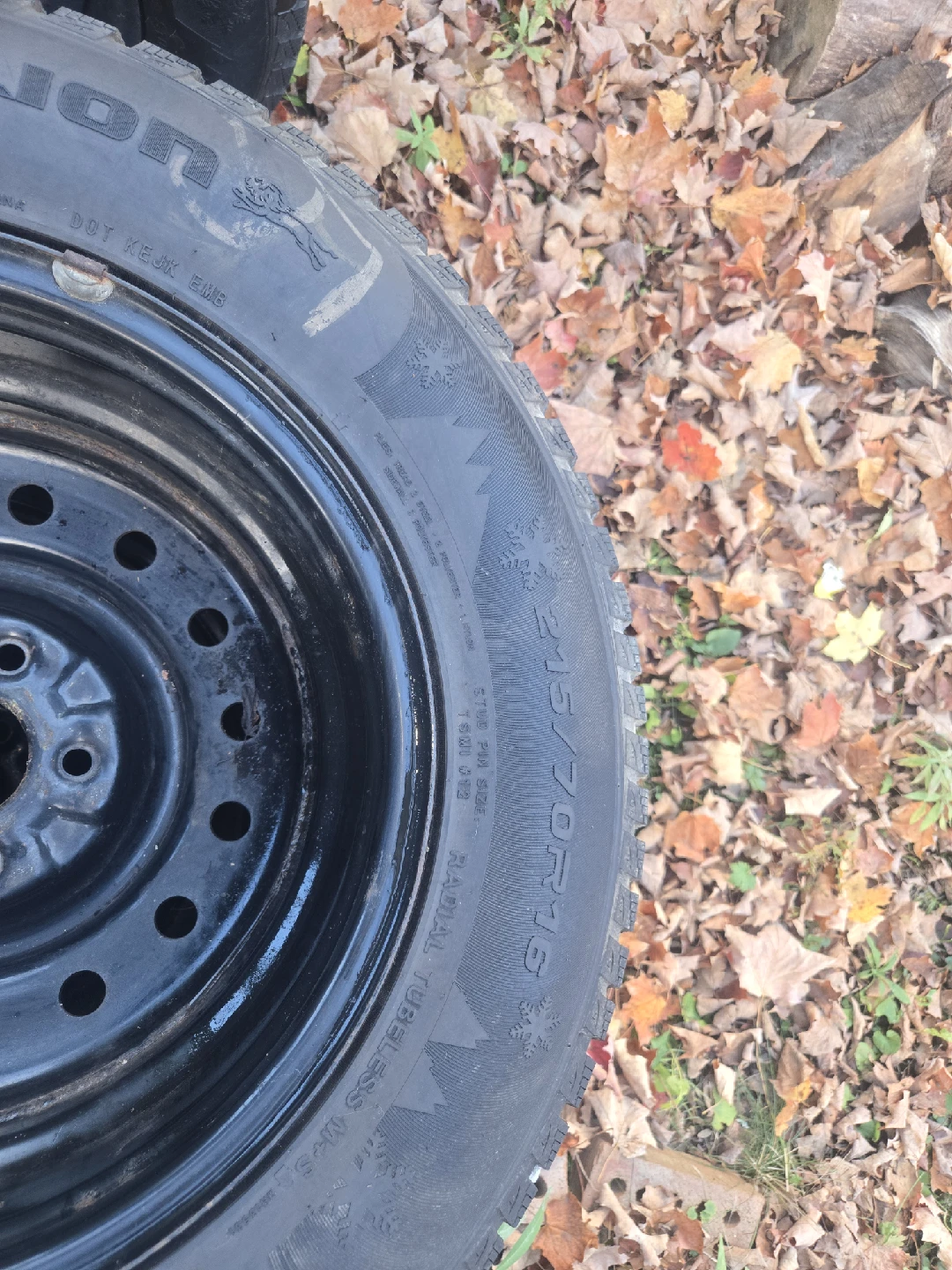 Blacklion Ice Pioneer W506 215/70R15 Tire - photo 3