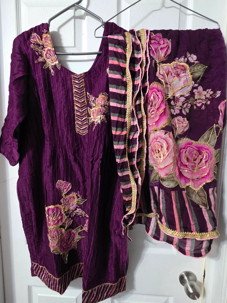 Punjabi suit image indicator(6)