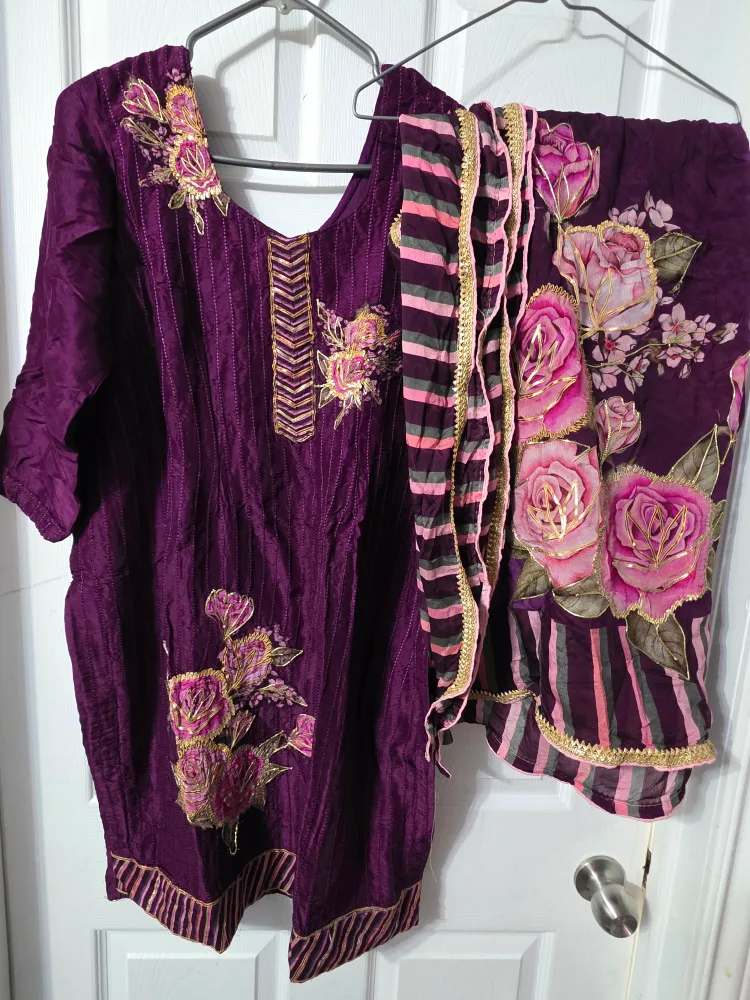 Punjabi suit image indicator(7)