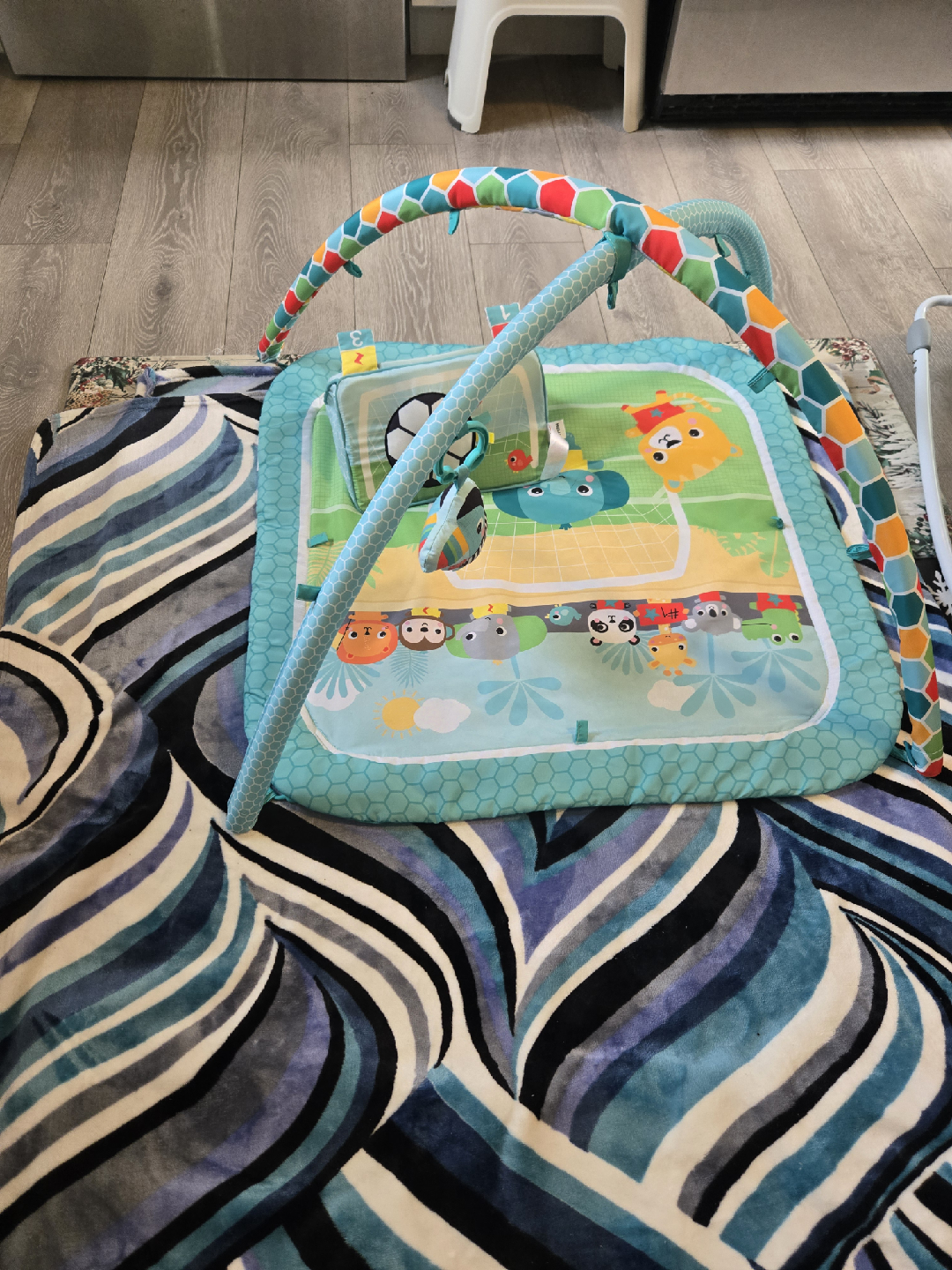 Baby Play Gym