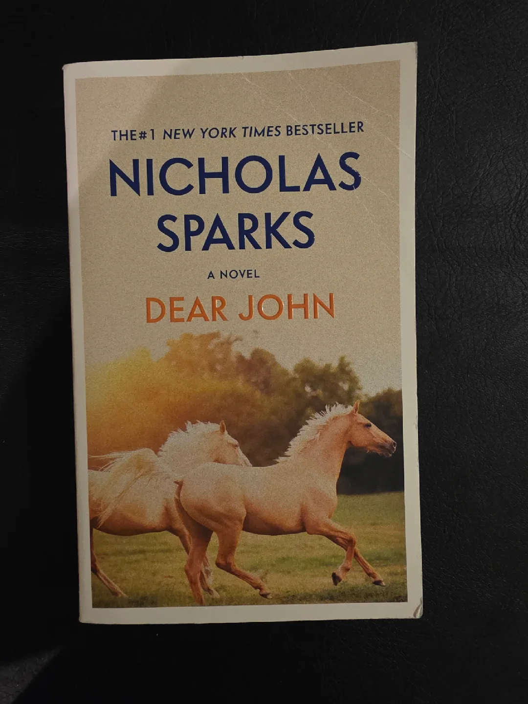 Nicholas Sparks Book Collection image indicator(9)