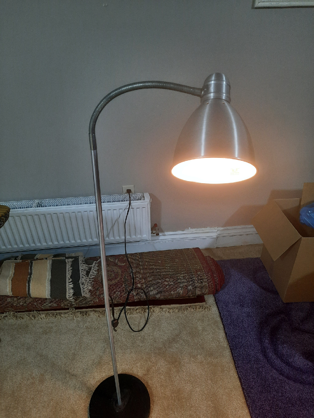 Silver Adjustable Floor Lamp