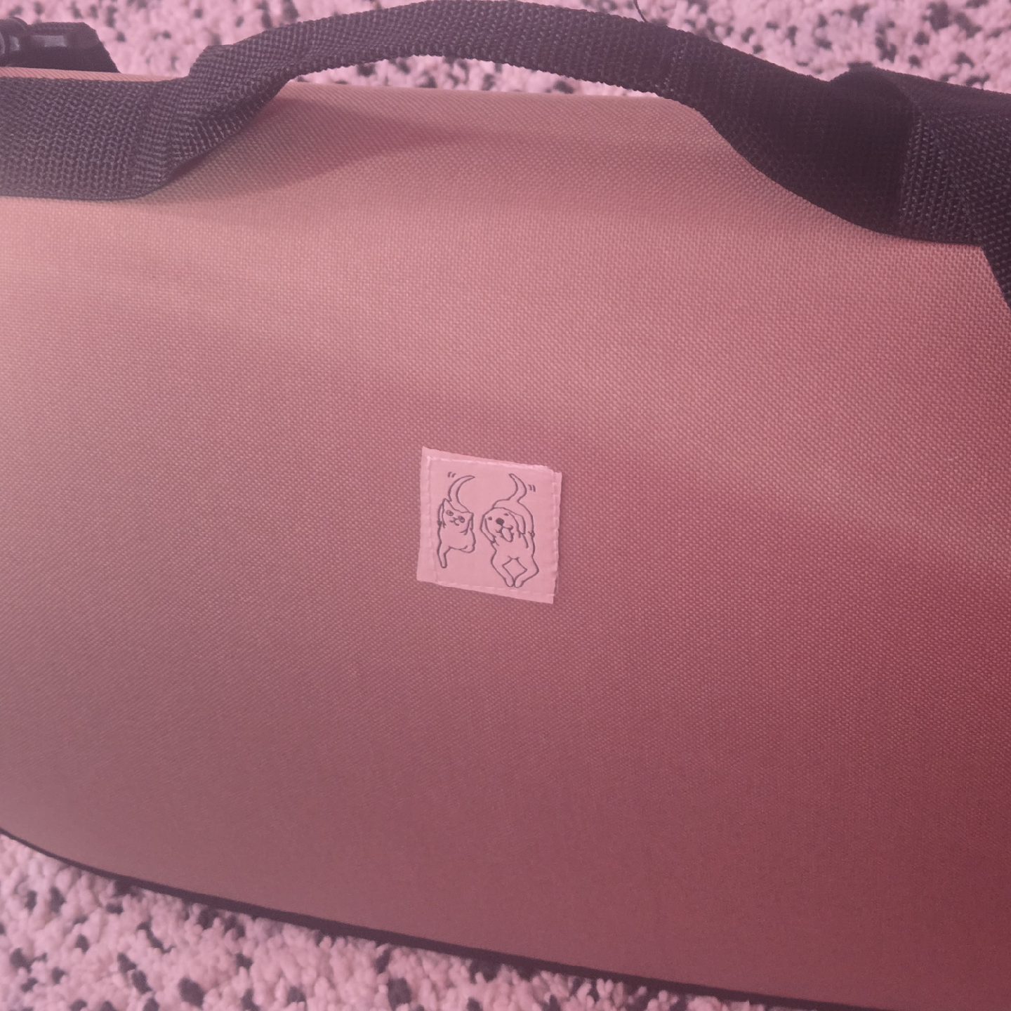 Pet Carrier - Supports up to 8kg - photo 3
