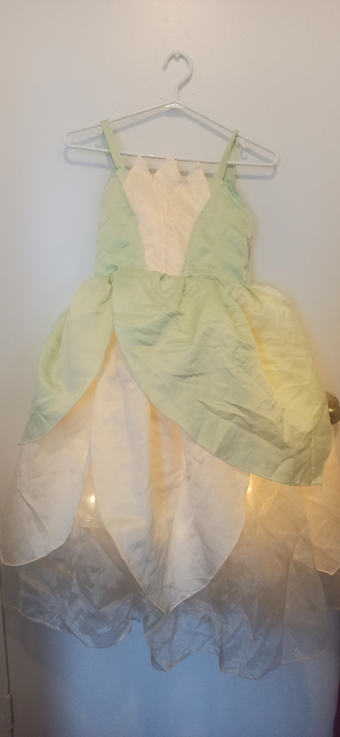 Tiana Princess and the Frog Dress.10-11yrs - photo 2