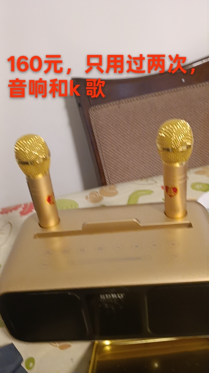 SDRO Karaoke Microphone Set - Gold