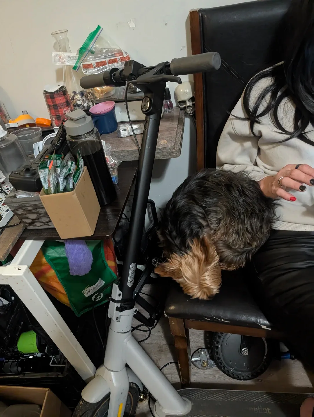 Petzl Adjama Climbing Harness image indicator(3)