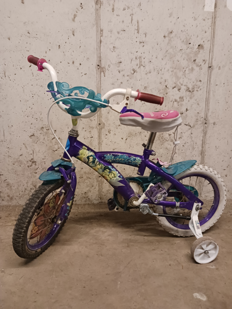 Disney Themed Kids' Bike - Purple & Teal