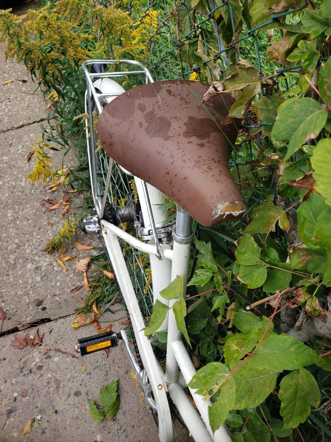 Linus Bike - White image indicator(2)