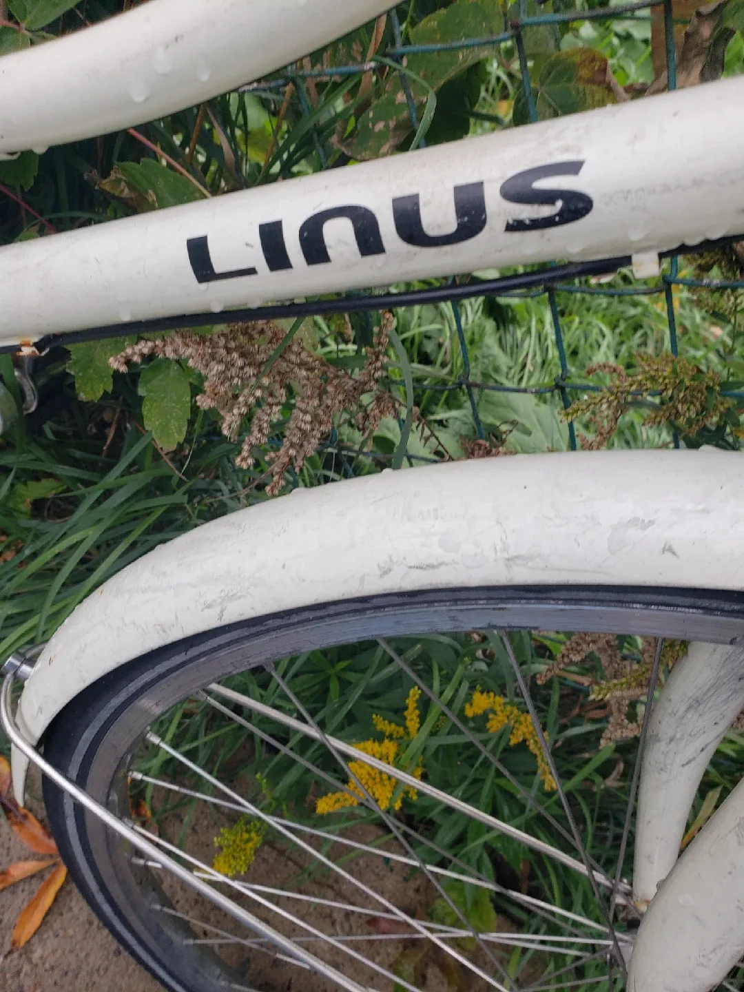 Linus Bike - White image indicator(3)
