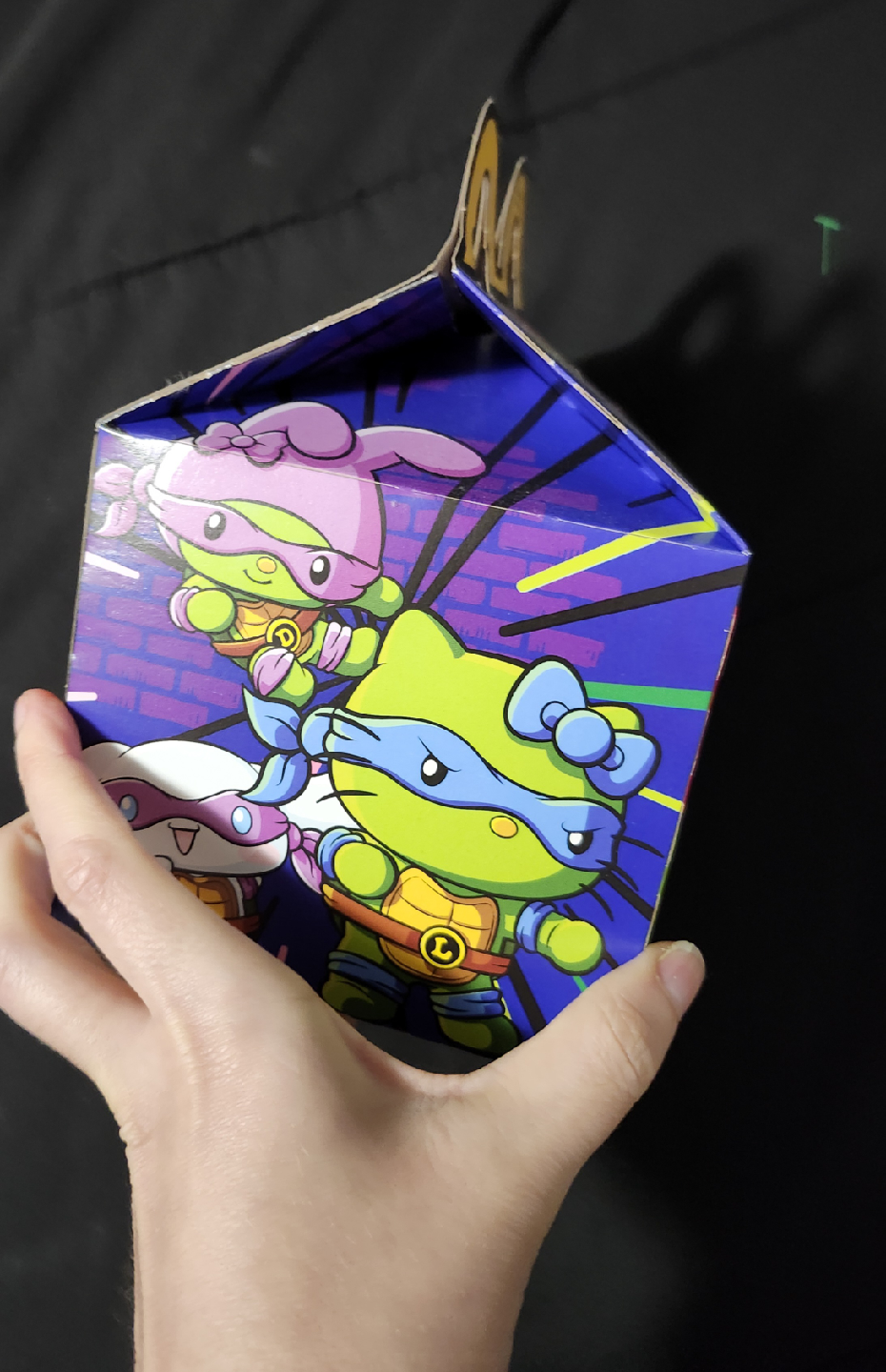 $5 McDonald's Hello Kitty TMNT empty box - photo 3