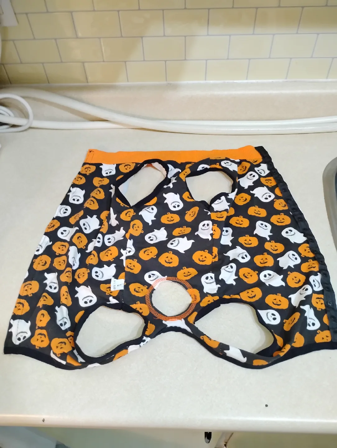 Halloween Dog Costume - Size Small image indicator(2)