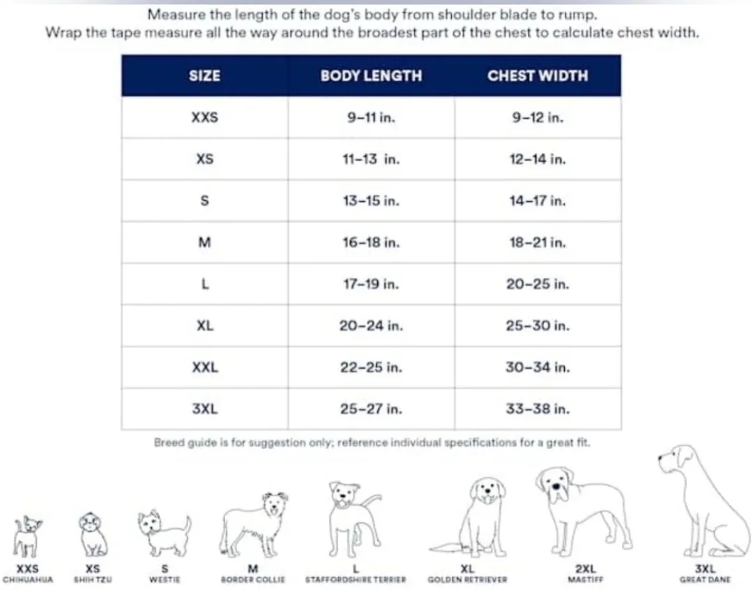 Youly Green and Blue The Explorer Reflective Pet Coat Size Small image indicator(8)