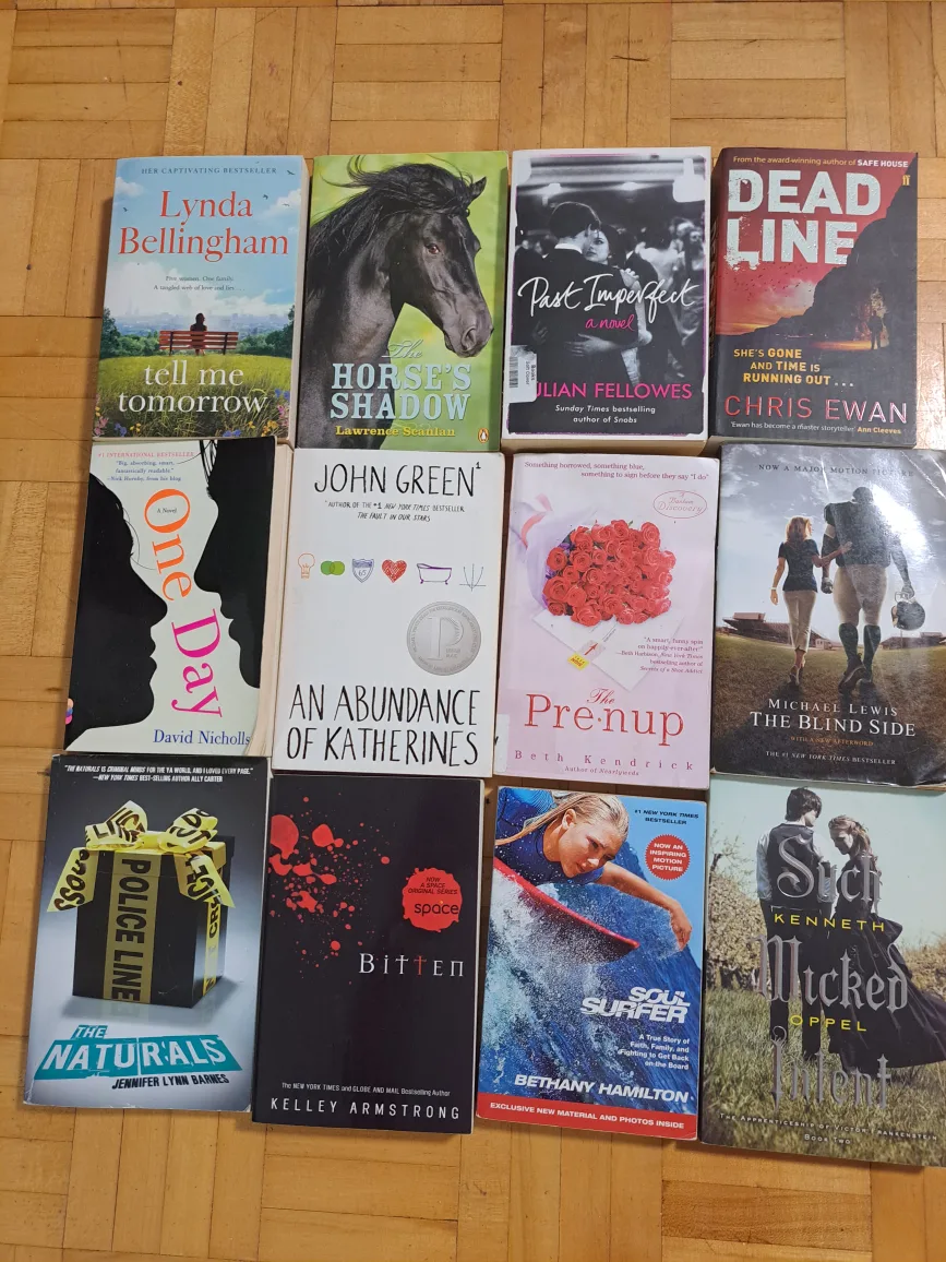 Mixed Lot of Paperback Books image indicator(6)