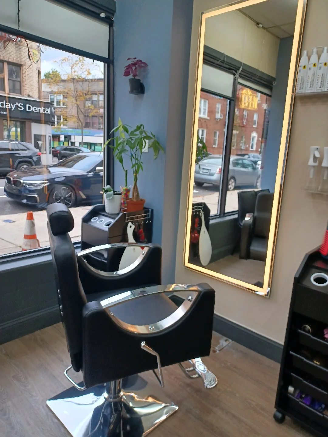 alquilo silla en salon de belleza bayridge 11209 84st image indicator(2)