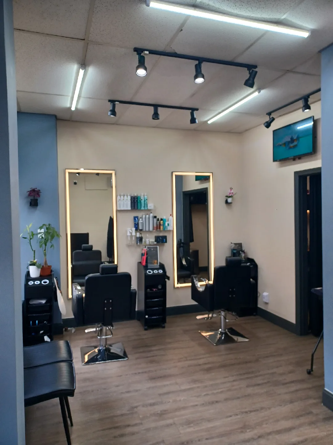 alquilo silla en salon de belleza bayridge 11209 84st image indicator(4)