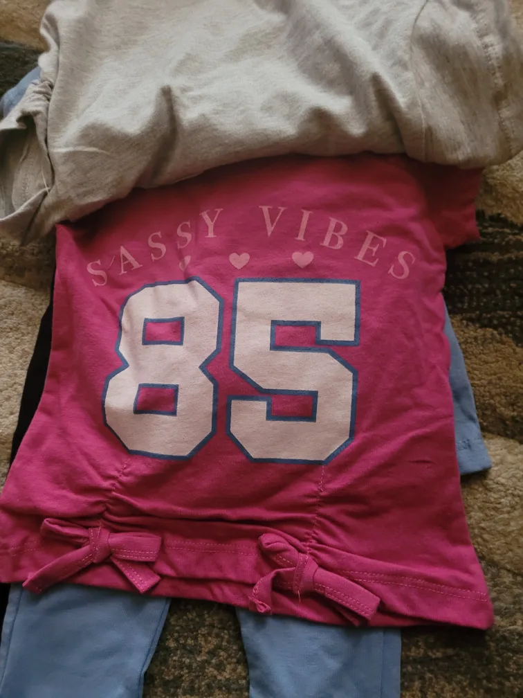 New 2T Pink Velvet 6-Piece Set, Mauve/Dusty Blue image indicator(4)