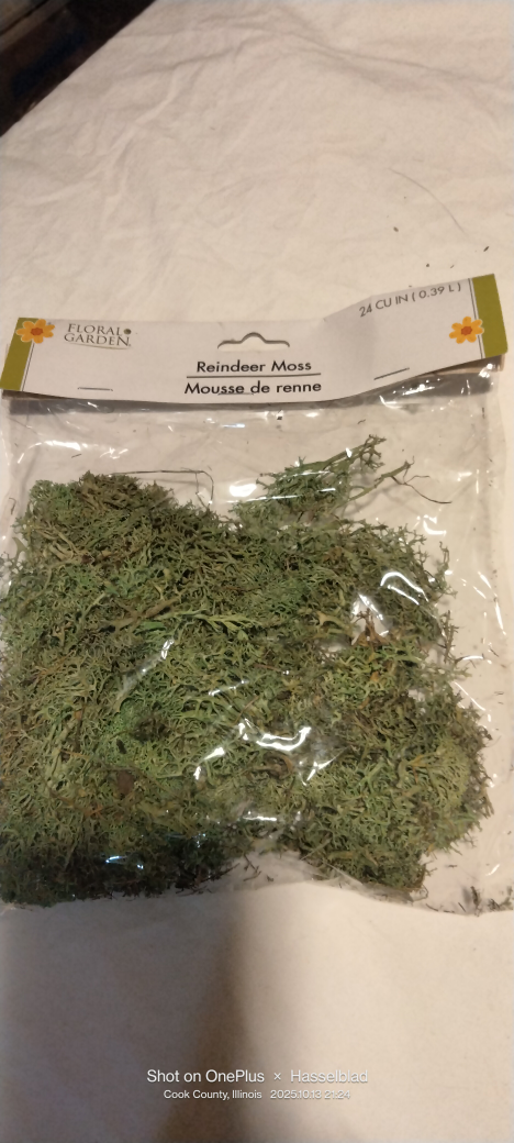 Floral Garden  Moss - photo 2
