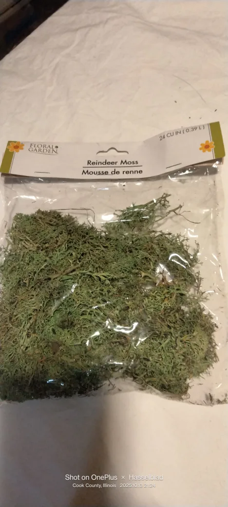 Floral Garden  Moss image indicator(2)