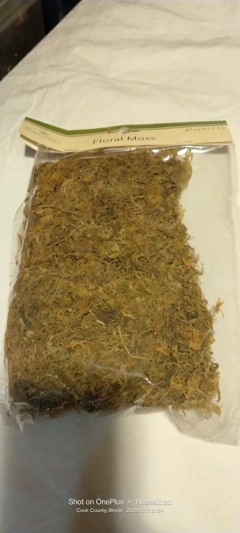 Floral Garden  Moss image indicator(3)