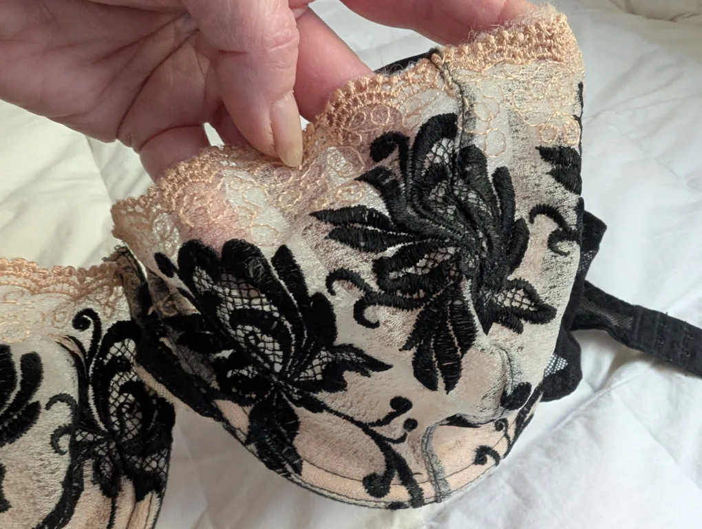 Lace Bra image indicator(4)