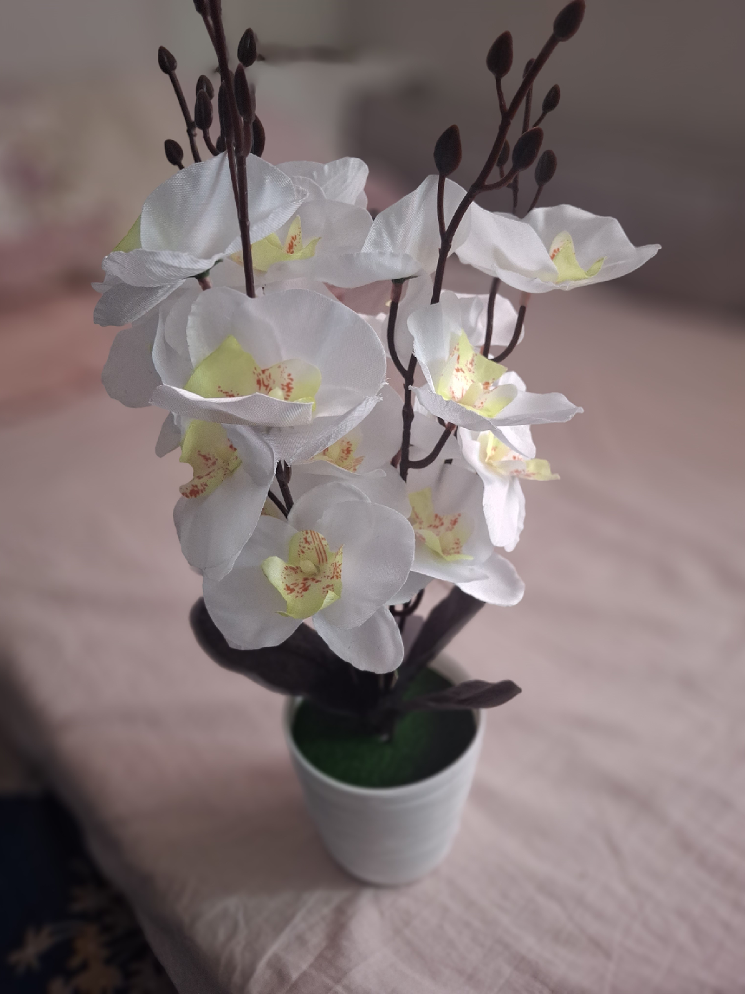 Artificial White Orchid in Pot 🥕