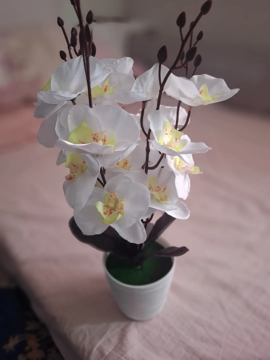 Artificial White Orchid in Pot 🥕