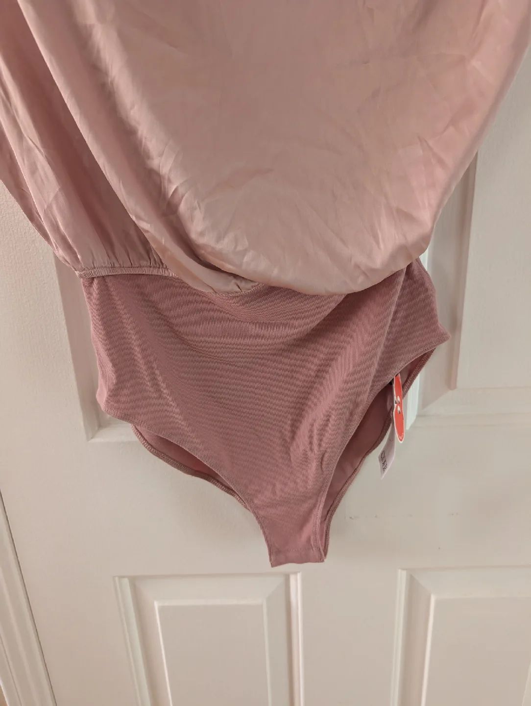 Brand New Cider Pink Bodysuit image indicator(3)