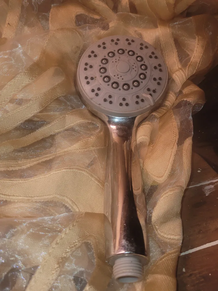 Shower Head - Silver Finish thumbnail