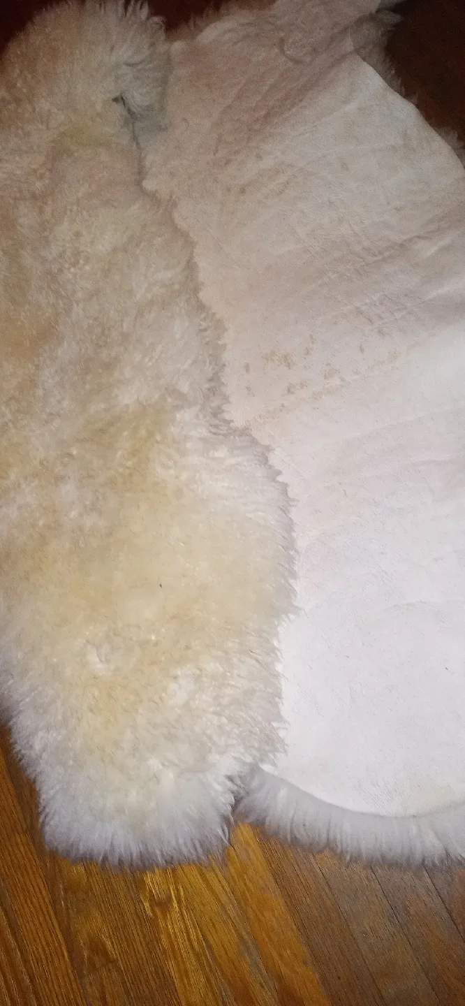 Sheepskin Rugs (Set of 2) image indicator(5)