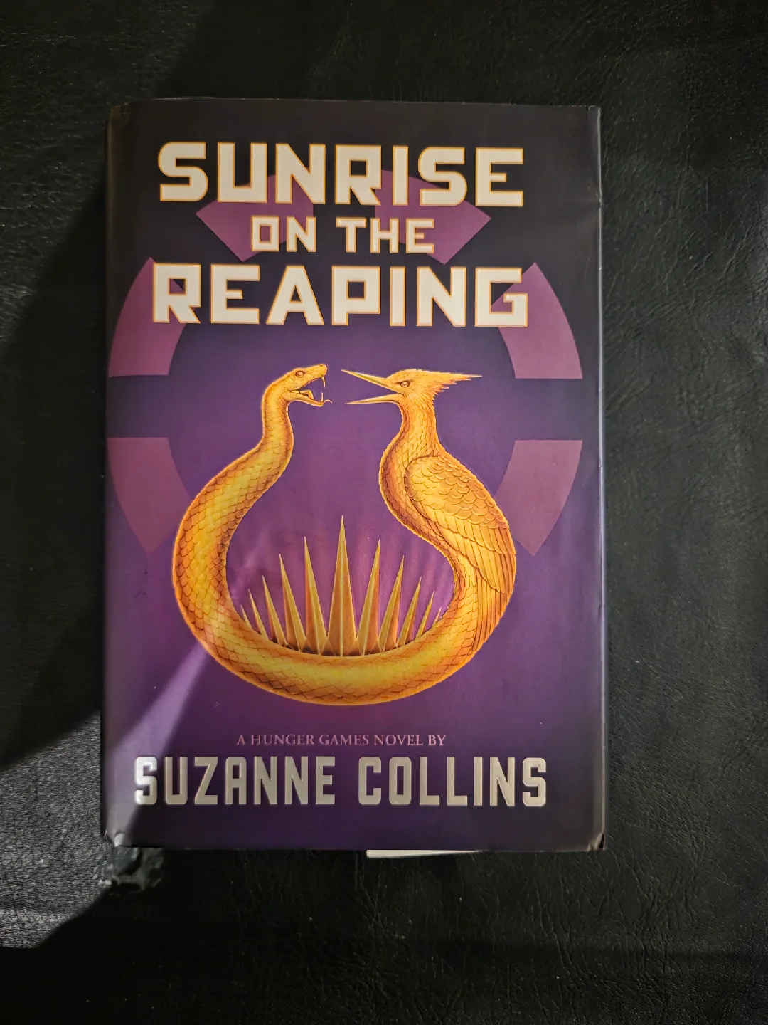 Four Novels: All the Light, The Paris Apartment, Sunrise image indicator(3)