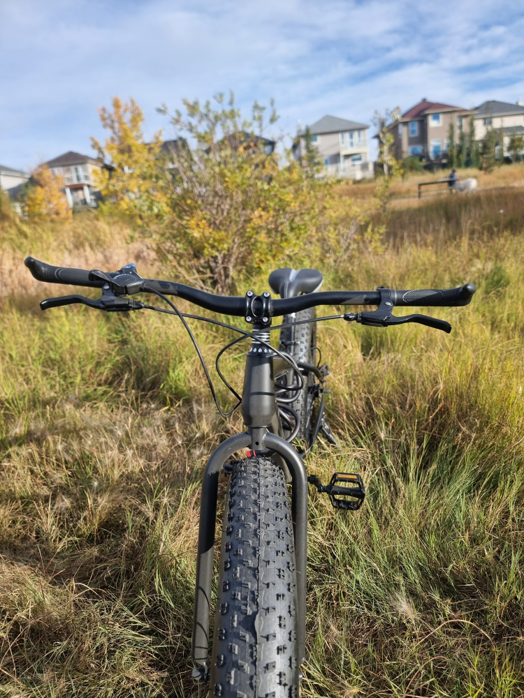 Fat tire Bike - photo 2
