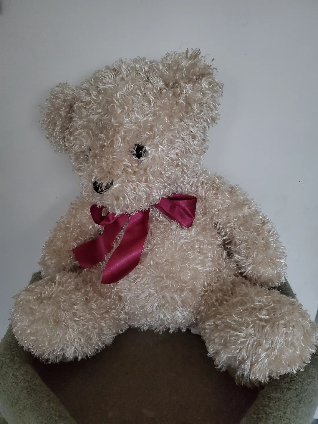 Teddy Bear with Ribbon image indicator(2)