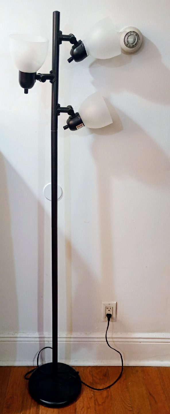 Black Floor Lamp, 63" Height