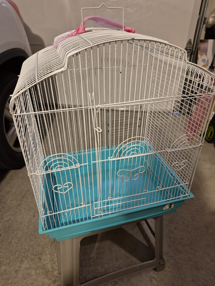 Bird Cage - White and Blue