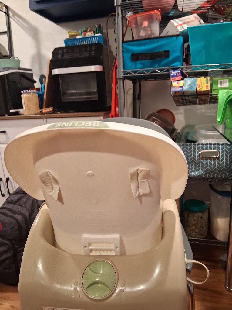 Fisher-Price Healthy Care Booster Seat - photo 3