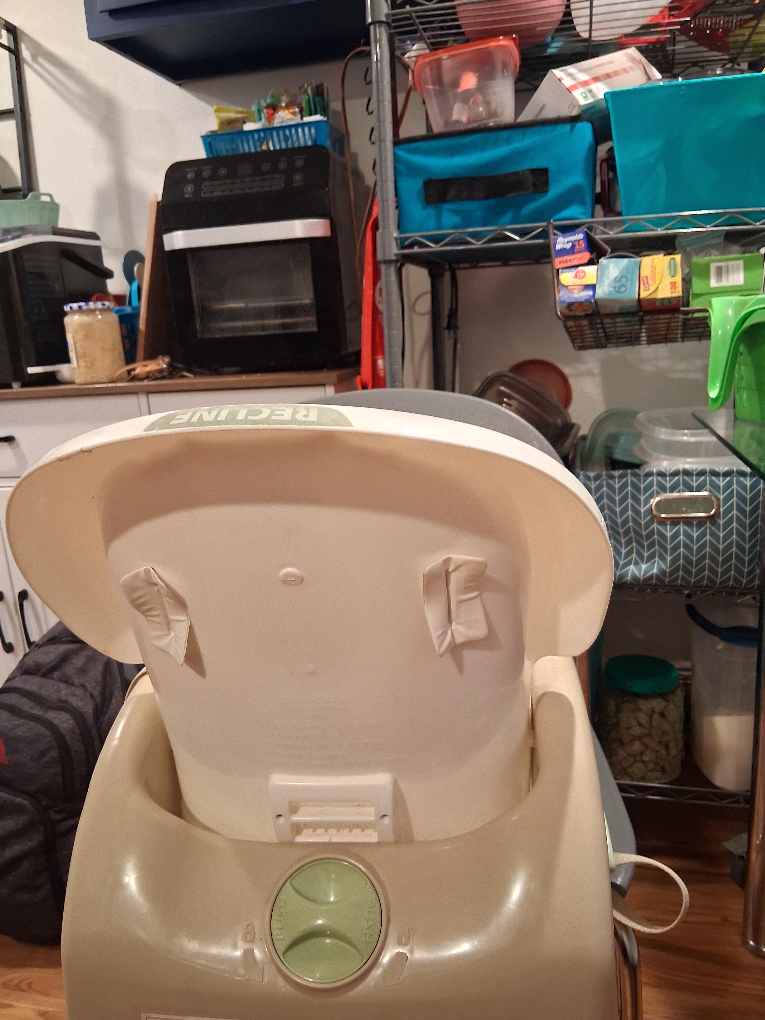 Fisher-Price Healthy Care Booster Seat - photo 4