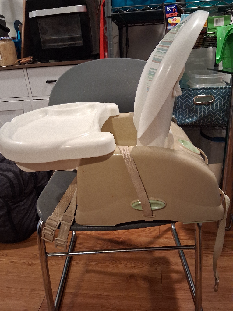 Fisher-Price Healthy Care Booster Seat - photo 5