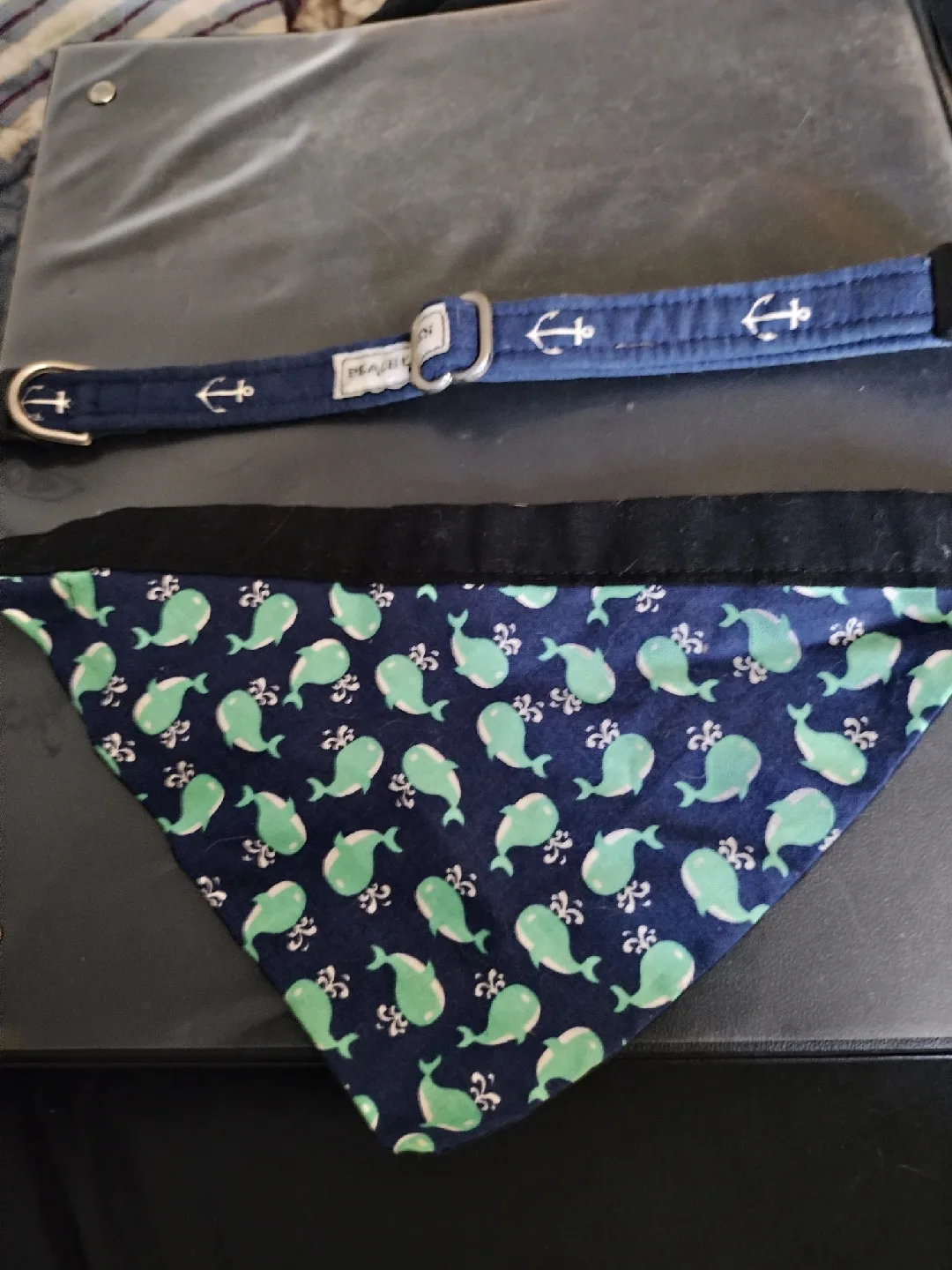 Dog Collar Clic 12.5cm & Hindes Wet & Dry Flea Comb image indicator(5)