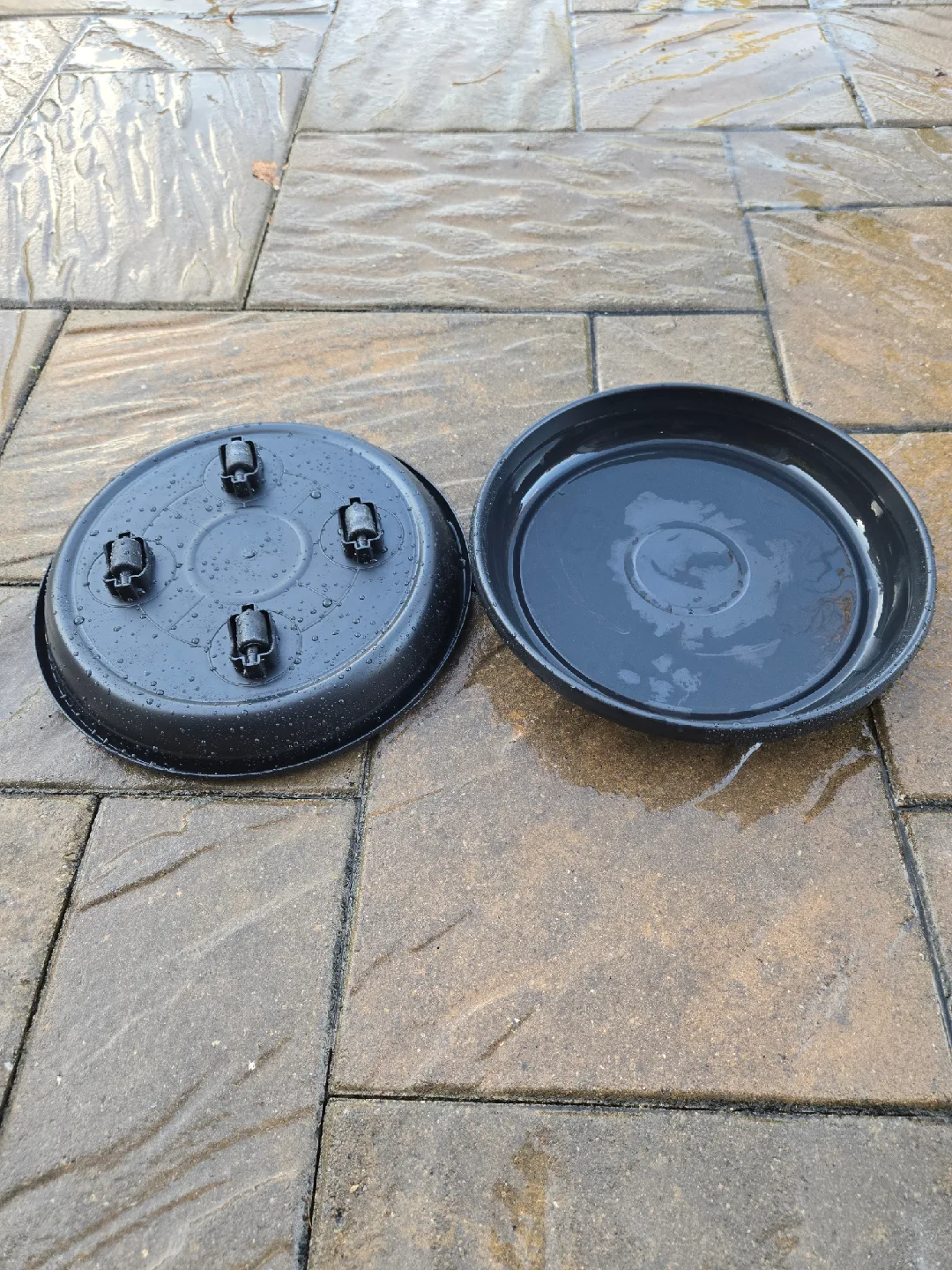 Set of TWO Plant Pot Saucer w/ Wheels thumbnail