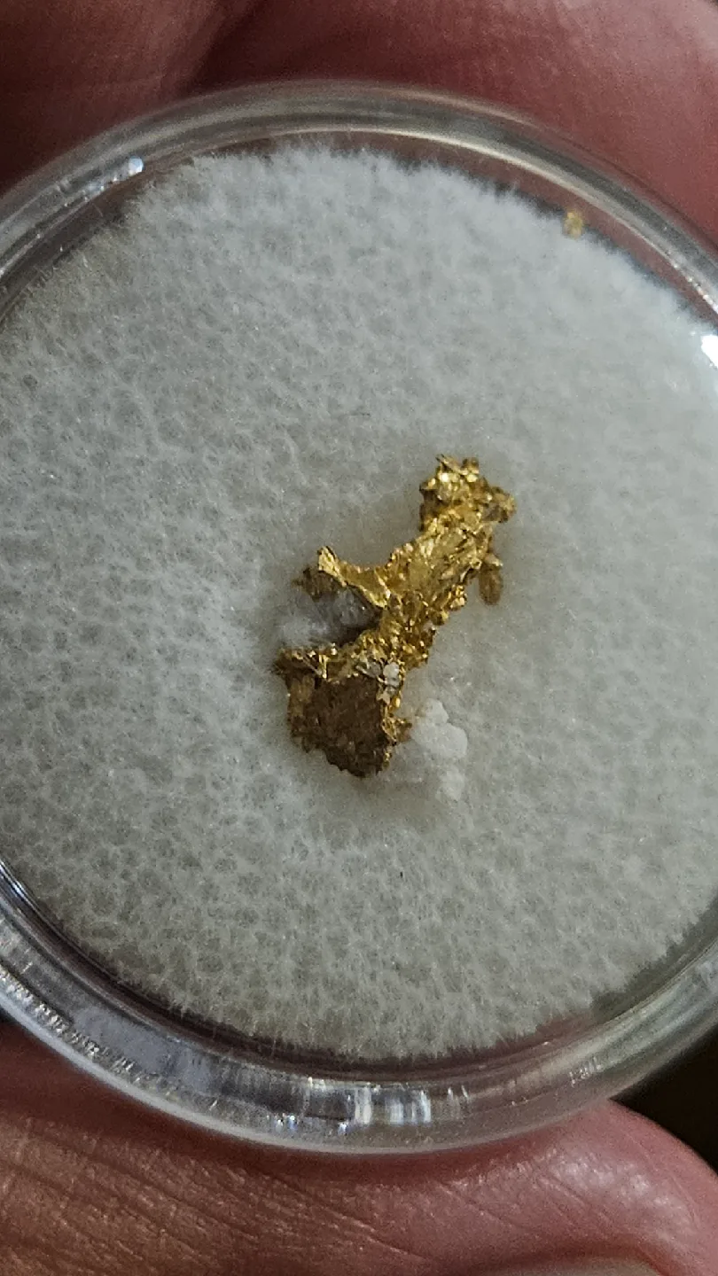 Crystallized gold nugget thumbnail