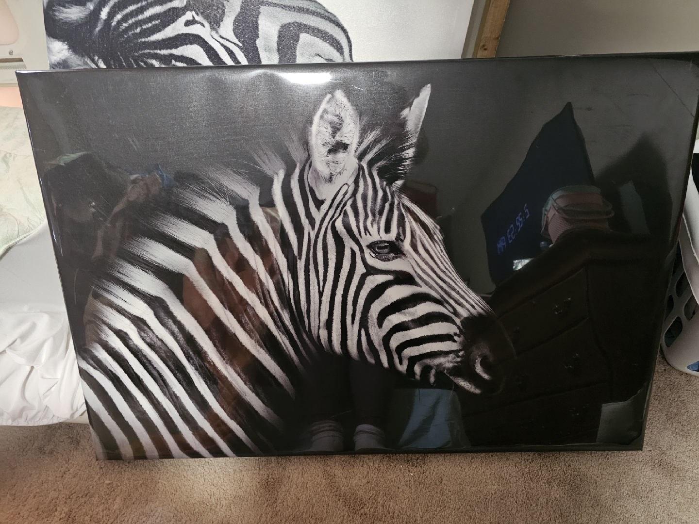 Zebra Canvas Wall Art