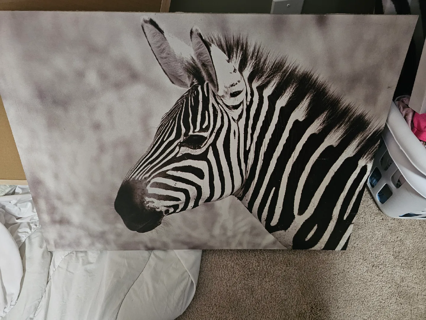 Zebra Canvas Wall Art image indicator(3)