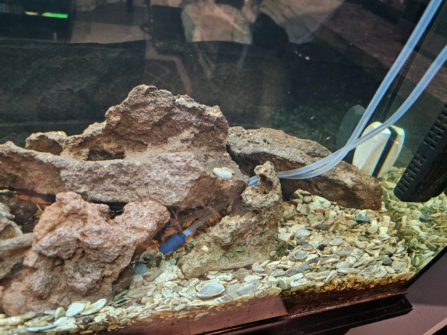 aquarium with accessories image indicator(4)