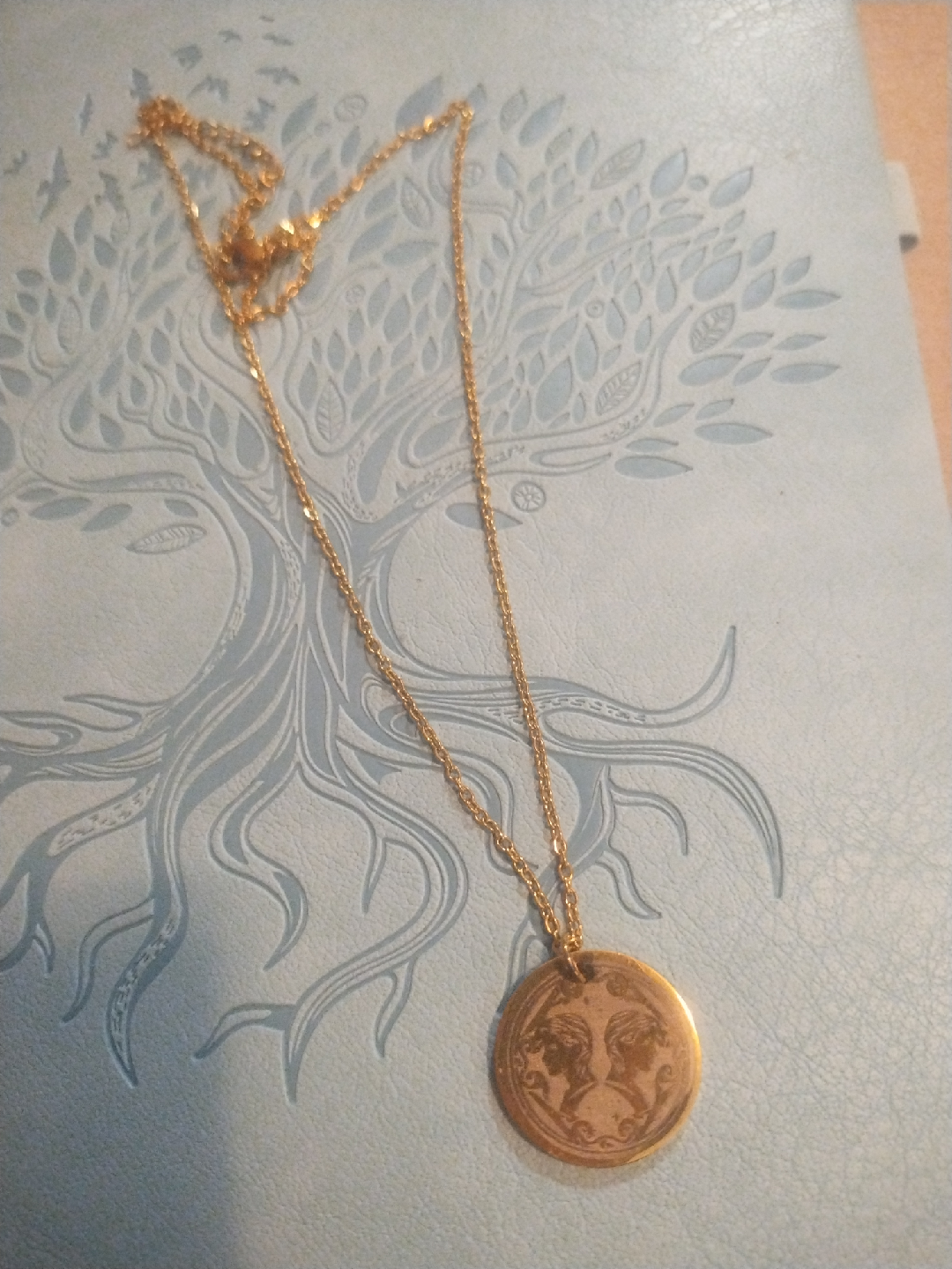 Stainless steel Gemini Necklace with Round Medallion Pendant - photo 2